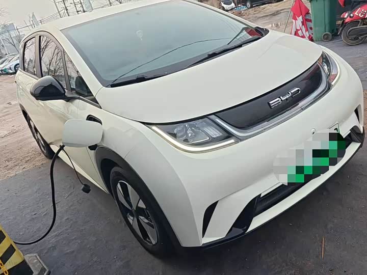 Фото 2 - BYD Dolphin