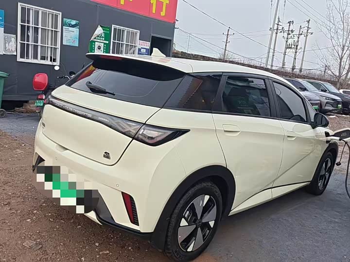 Фото 6 - BYD Dolphin