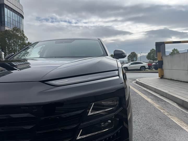 Фото 2 - Jetour Dashing