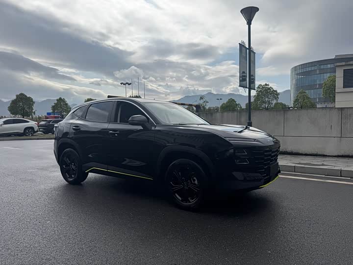 Фото 4 - Jetour Dashing