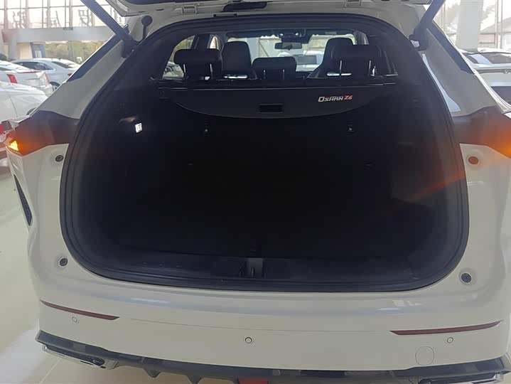 Фото 4 - Changan Oshan Z6 Hybrid