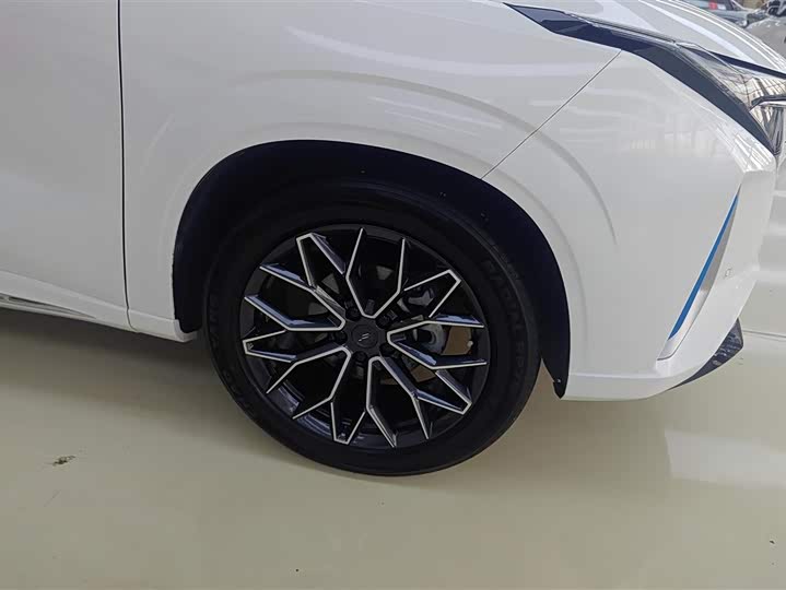 Фото 6 - Changan Oshan Z6 Hybrid