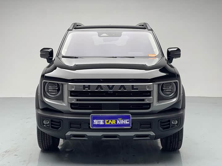 Фото 3 - Haval Dargo