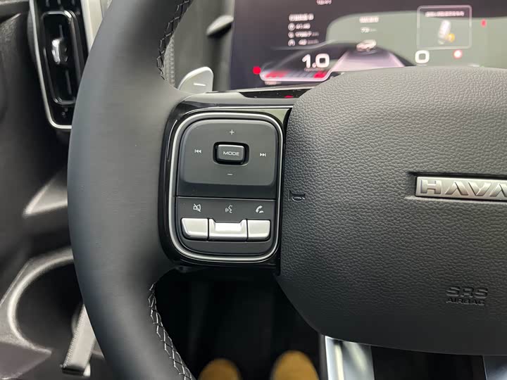 Фото 7 - Haval Dargo