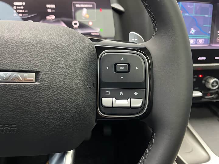 Фото 8 - Haval Dargo