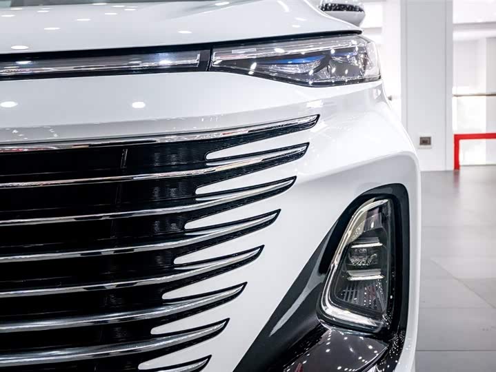 Фото 8 - Bestune M9