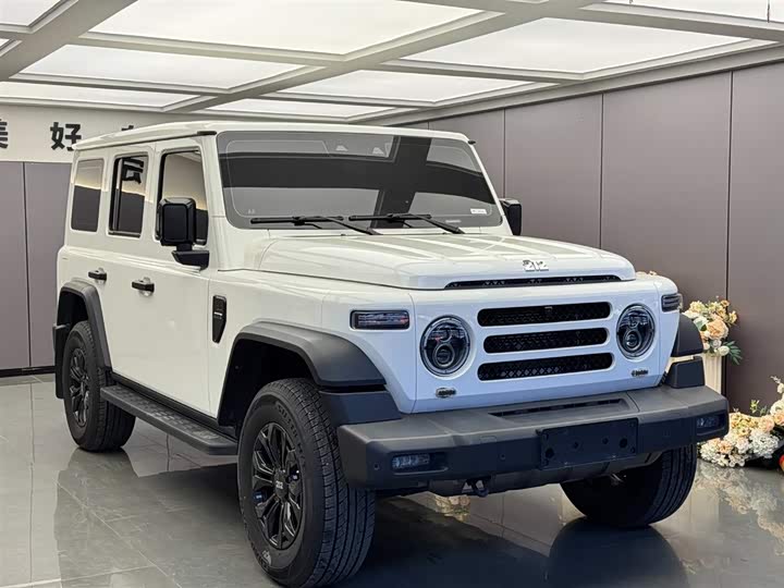 Фото 3 - BAW 212 T01