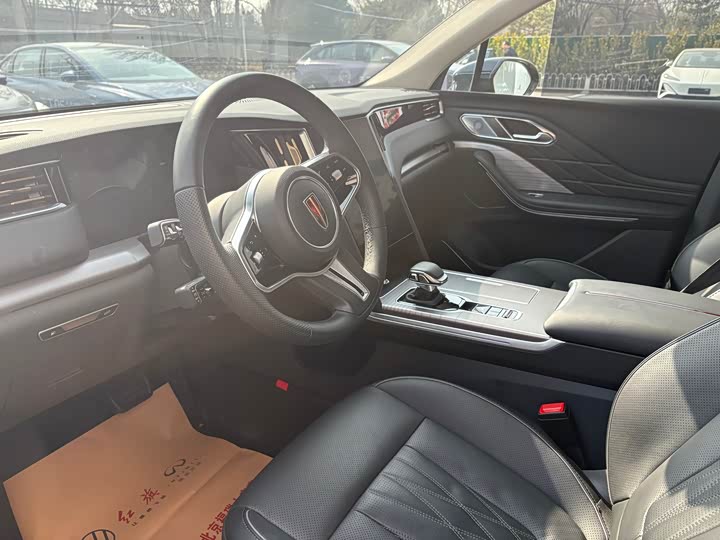 Photo 6 - Hongqi HS7 Hybrid