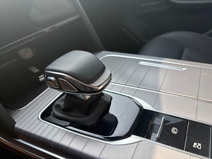 Photo 8 - Hongqi HS7 Hybrid