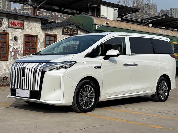 Фото 1 - Wey Gaoshan