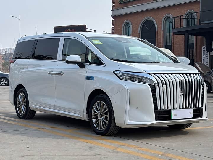 Фото 3 - Wey Gaoshan