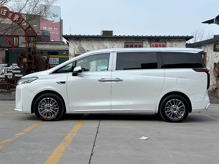 Фото 5 - Wey Gaoshan