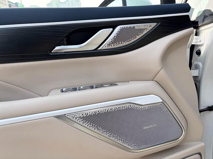 Фото 7 - Wey Gaoshan