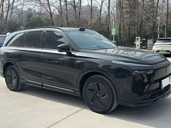 Фото 3 - Wey Lanshan