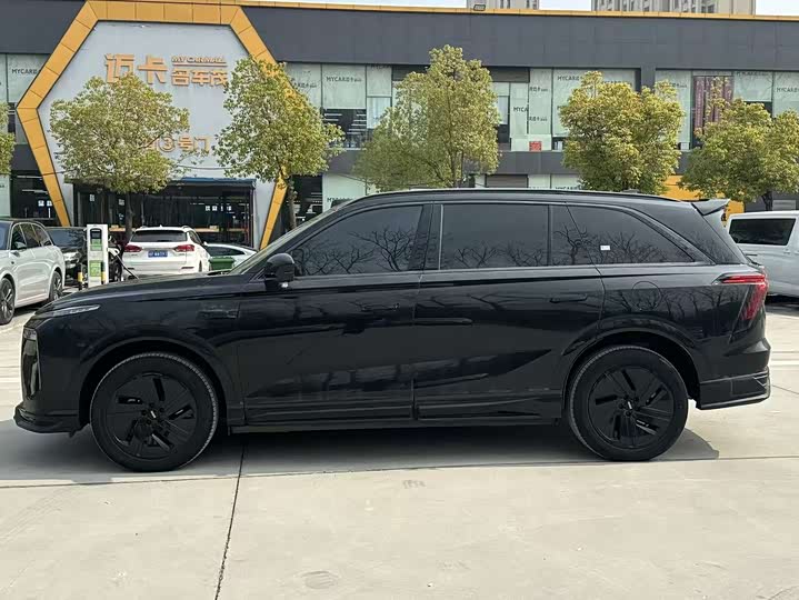 Фото 4 - Wey Lanshan