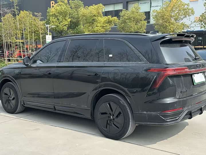 Фото 5 - Wey Lanshan