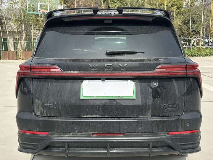 Фото 6 - Wey Lanshan