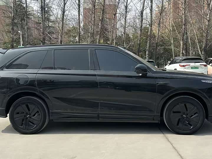 Фото 8 - Wey Lanshan