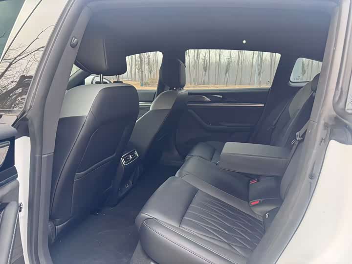 Фото 4 - Hozon S Hunting