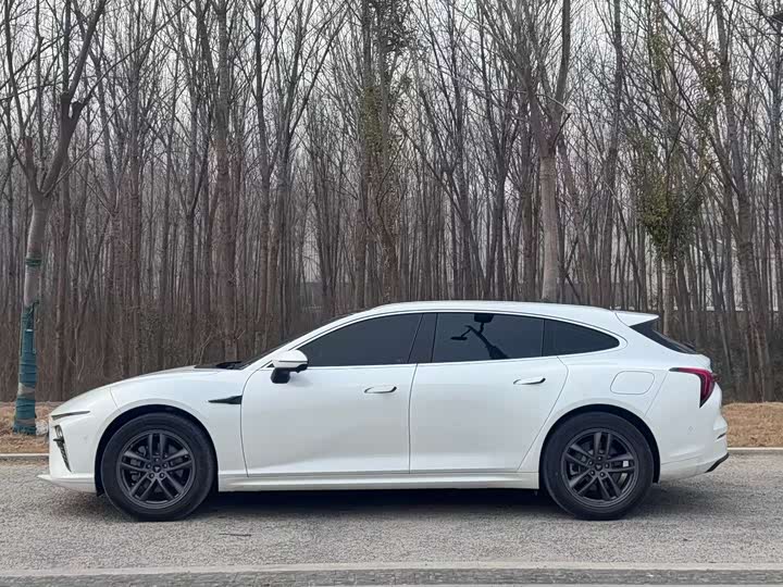 Фото 8 - Hozon S Hunting