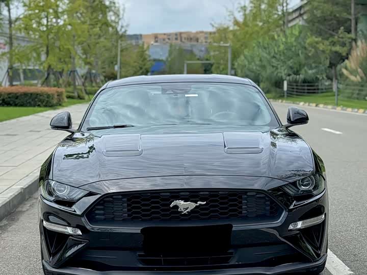Фото 2 - Ford Mustang