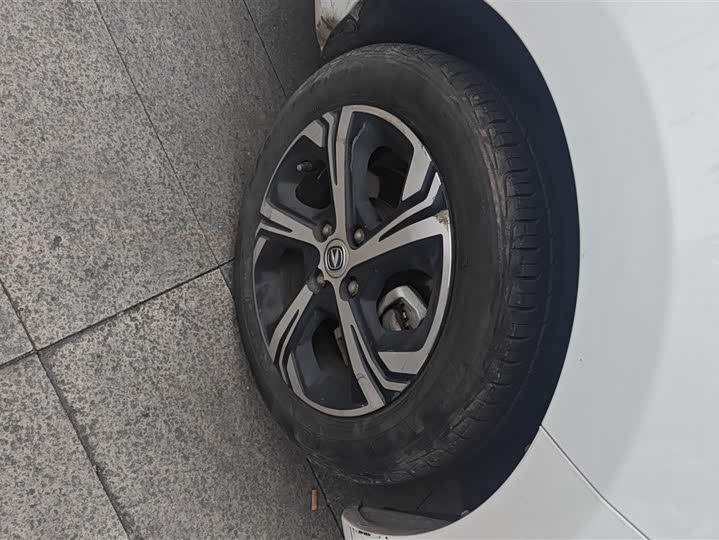 Фото 6 - Changan BenBen E-Star