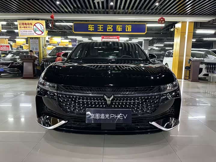 Фото 2 - Voyah Passion