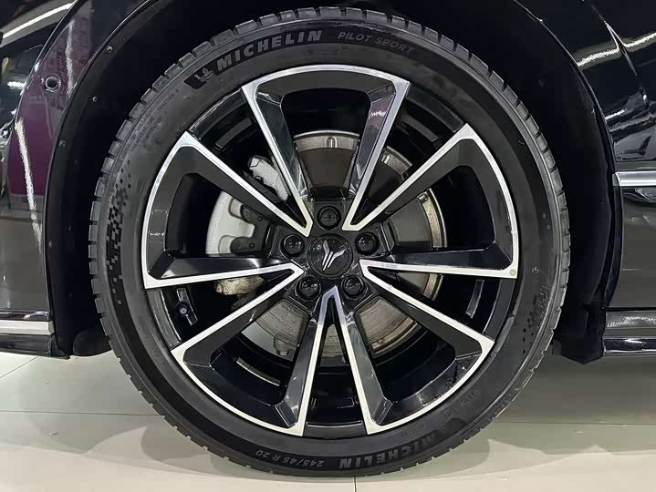 Фото 8 - Voyah Passion