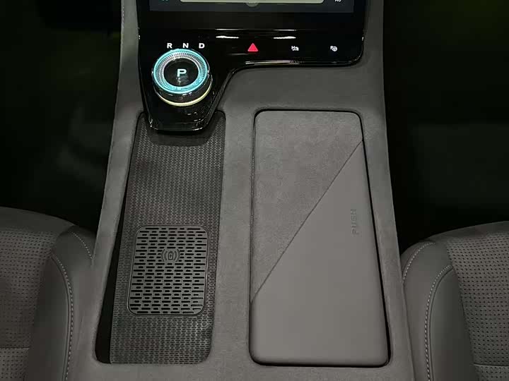 Фото 9 - Voyah Passion