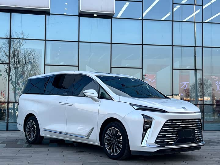 Фото 3 - Buick GL8 ES