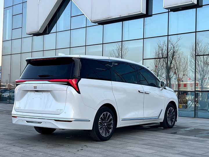 Фото 6 - Buick GL8 ES