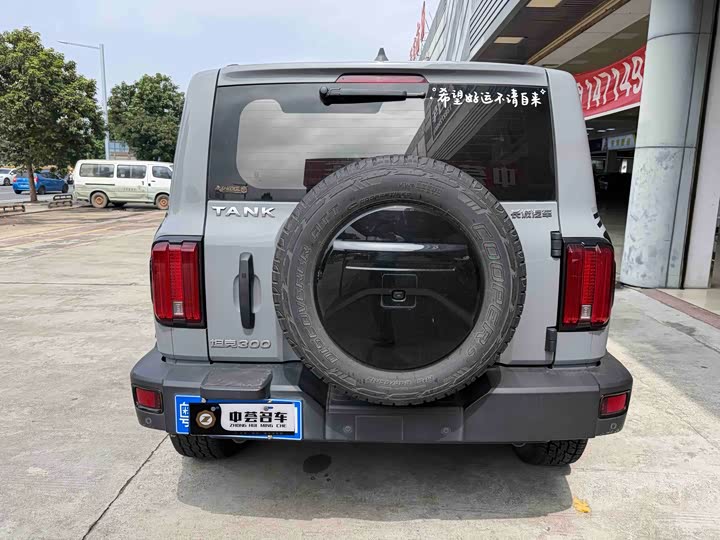 Фото 4 - Tank 300