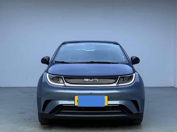 Фото 2 - BYD Dolphin