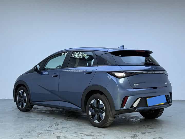 Фото 4 - BYD Dolphin