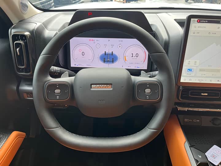 Фото 7 - Haval Raptor