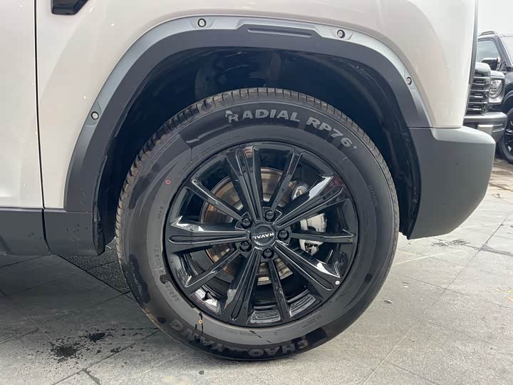 Фото 9 - Haval Raptor