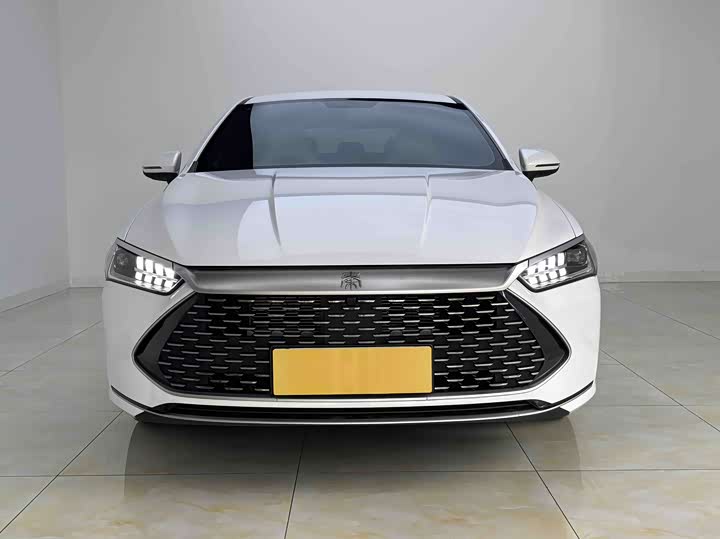 Фото 2 - BYD Qin Plus