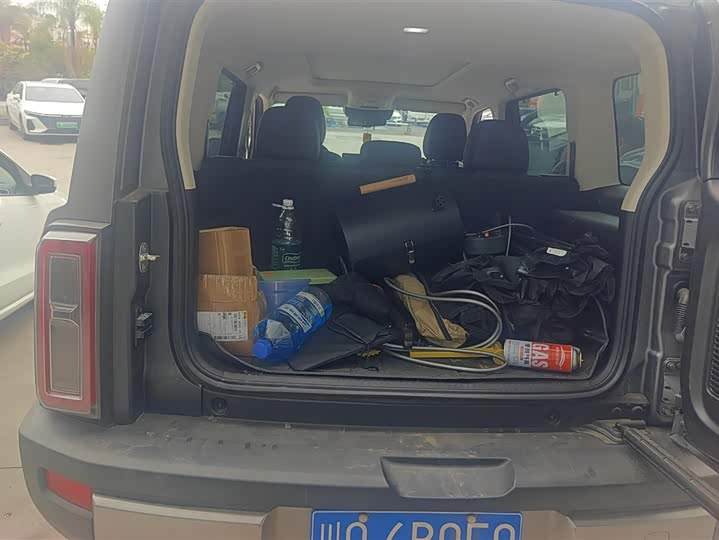 Фото 4 - Haval Raptor