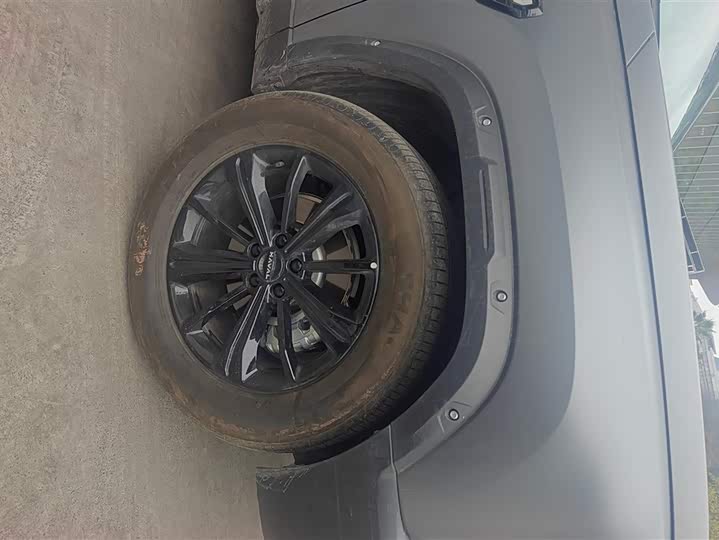 Фото 6 - Haval Raptor