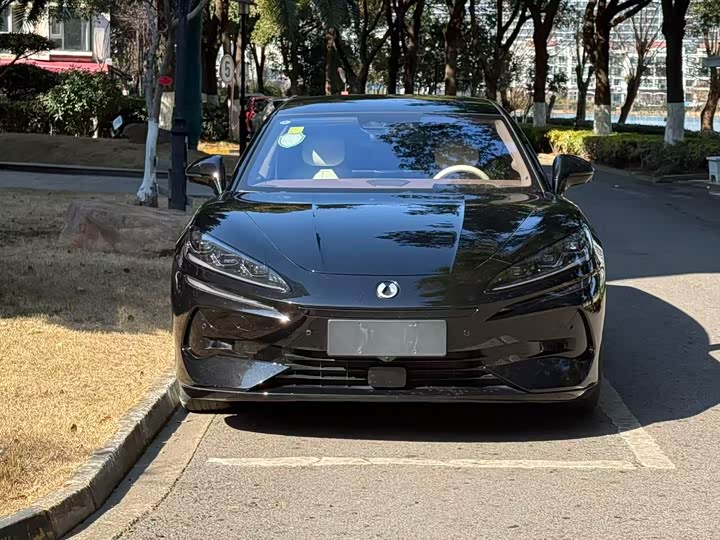 Фото 2 - Denza Z9GT