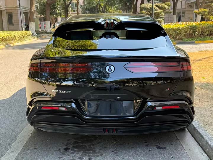 Фото 5 - Denza Z9GT