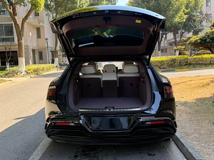 Фото 6 - Denza Z9GT