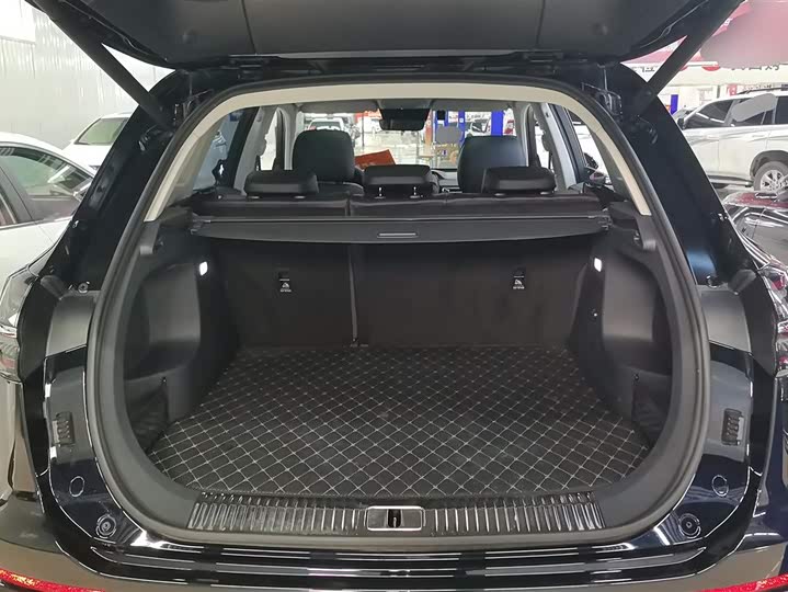 Photo 4 - Hongqi HS5