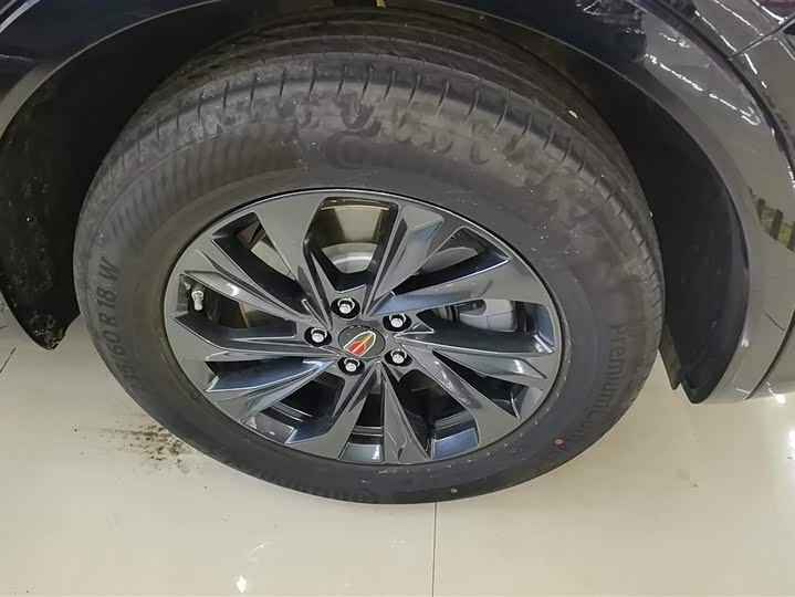 Photo 6 - Hongqi HS5