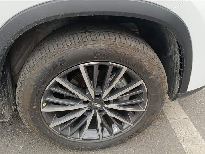 Фото 6 - Chery Tiggo 8