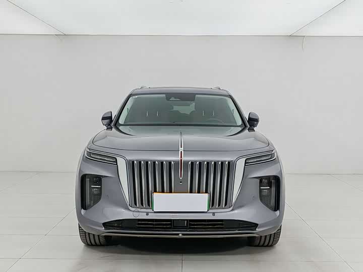 Photo 2 - Hongqi E-HS9
