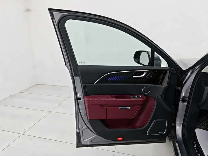 Photo 9 - Hongqi E-HS9