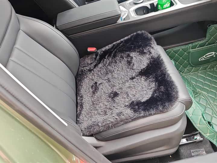 Фото 8 - Chery Jaecoo J7 (Explore 06)