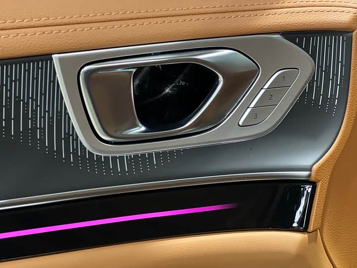 Фото 8 - Hongqi H9