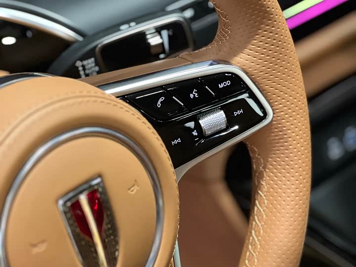 Фото 9 - Hongqi H9